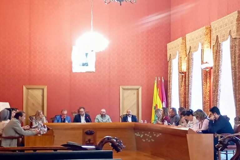 Pleno Asistencia